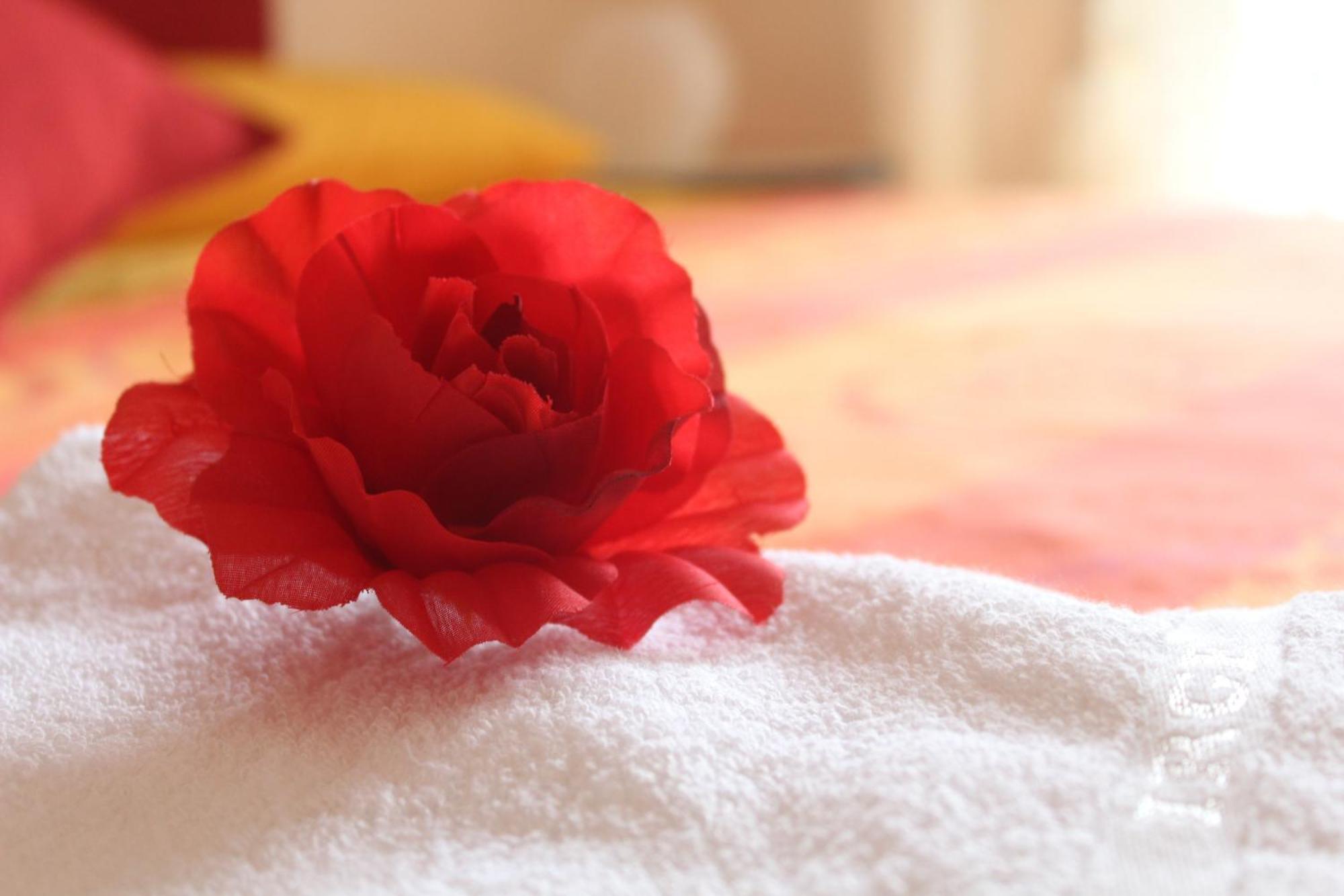 Colle Sul Mare Hotell Termoli Rum bild